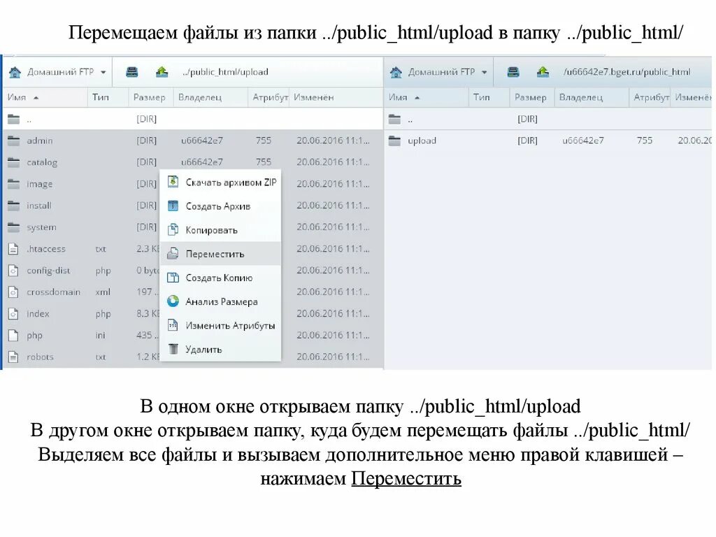 Папка public. Папка паблик. Где найти папку public. Html выгрузка. Перетащите файл..