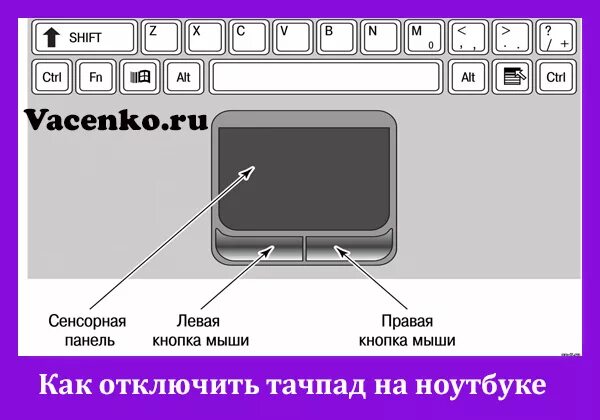 Как отключить сенсорную мышь