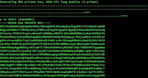 Begin public key