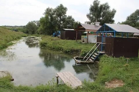 Тишанка белгородская область