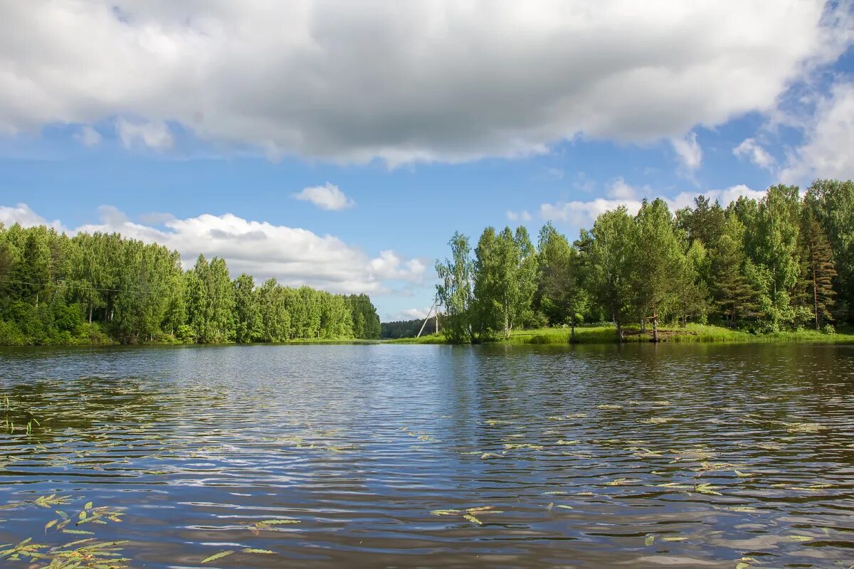 Реки ярославского края. Река Улейма Ярославская область. Река Юхоть Ярославская область. Юхоть река Ярославль. Река Обнора Ярославская.