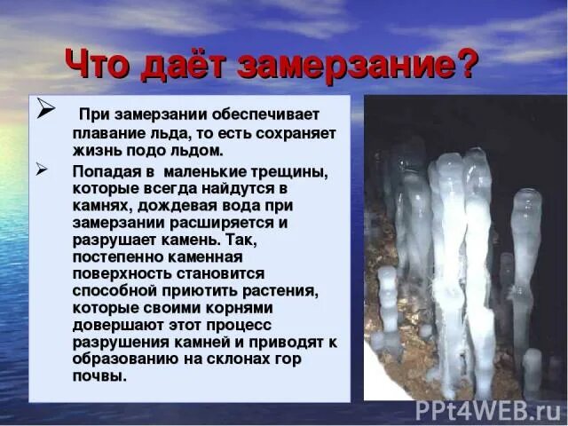 При 5 вода замерзает. Жизнь подо льдом презентация. Вода при замерзании. Вода расширяется при замерзании. Замерзание воды в жизни человека.