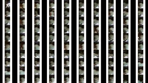 زنة قناتي ع التلجرام vip n8 ادخل وتشبع نيج لصرة شلع كلةة عراقي - XNXX.COM H...