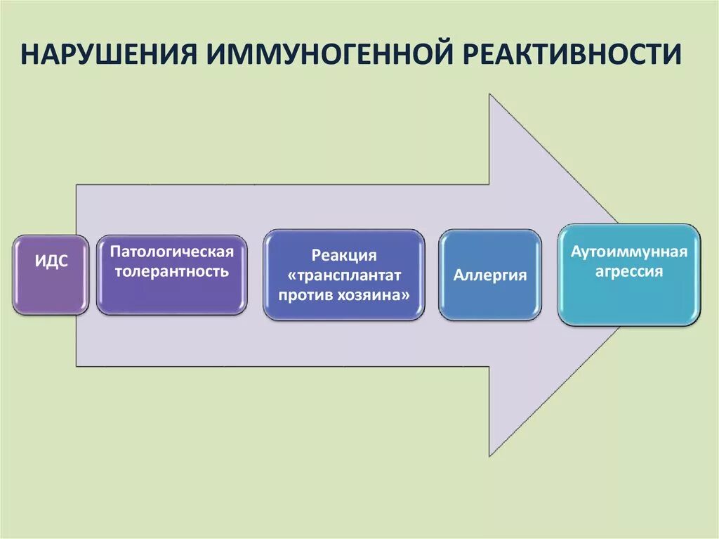 Иммунная реактивность организма. Нарушения иммунологической реактивности. типовые формы нарушения реактивности организма. формы нарушения иммуногенной реактивности. типовые нарушения иммуногенной реактивности организма.