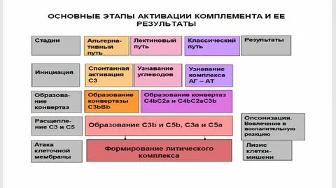 Система этап 3