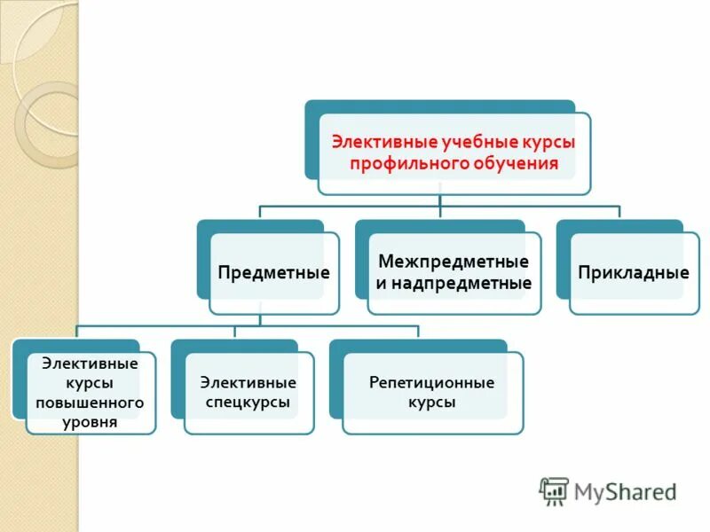 Что такое элективные курсы