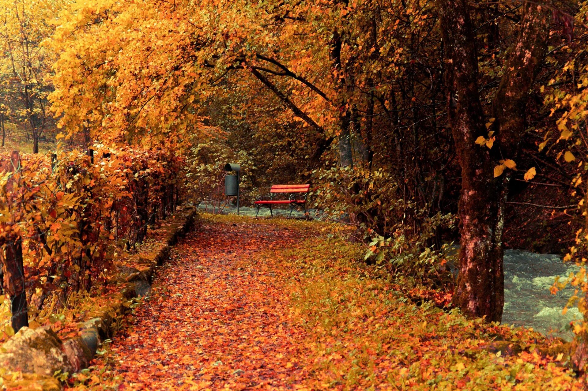 Былым осенью. Осенний парк. Осень в парке. Осень в саду. Осенняя дорожка в парке.