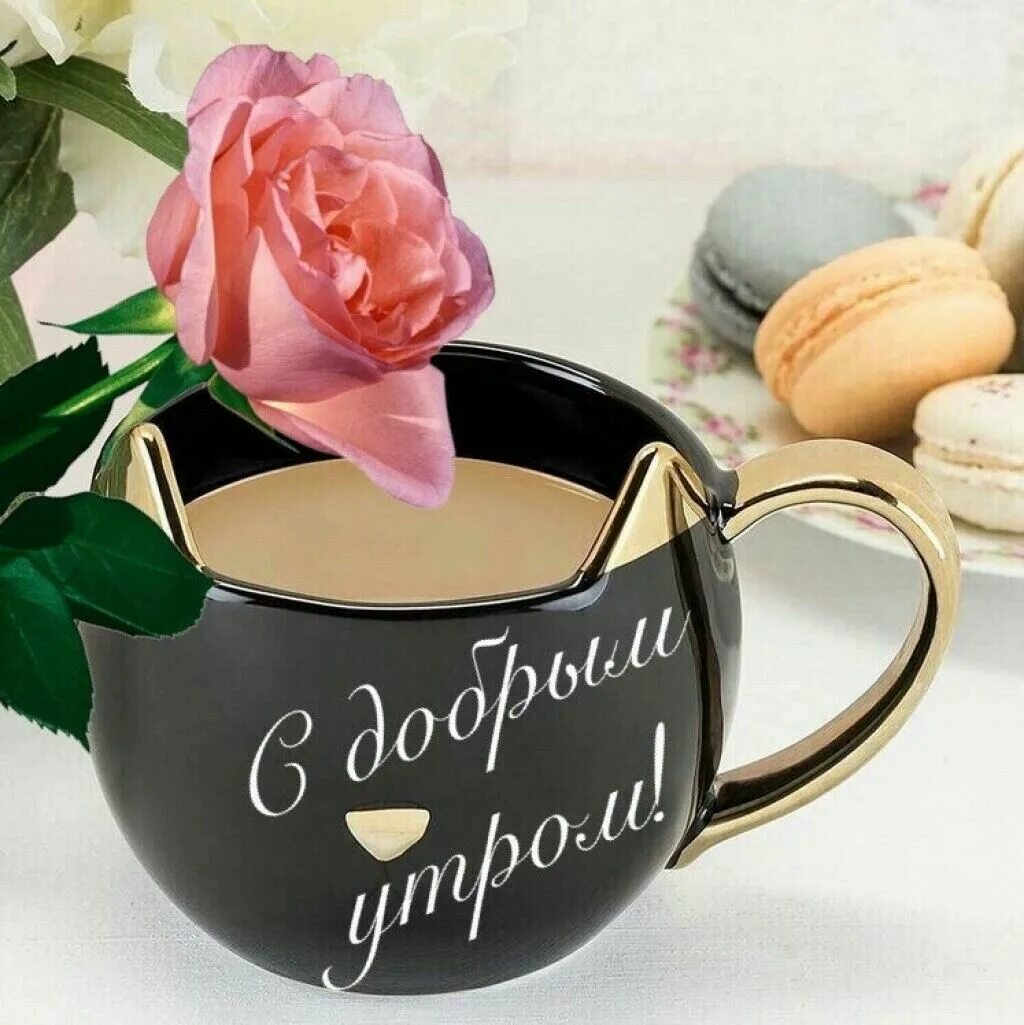 Доброе утро серия красивых картинок