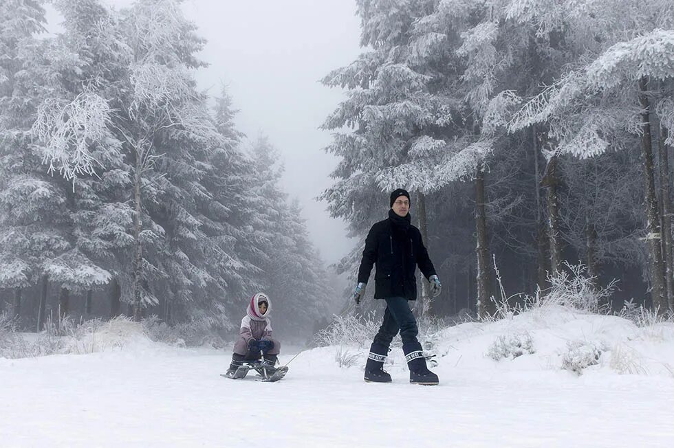 Walking snow rum перевод. Прогулка зимой. Человек в зимнем лесу. Прогулка в зимнем лесу. Прогулка в парке зимой.