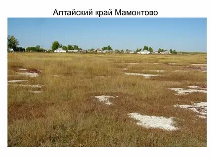 Грунт волгоград