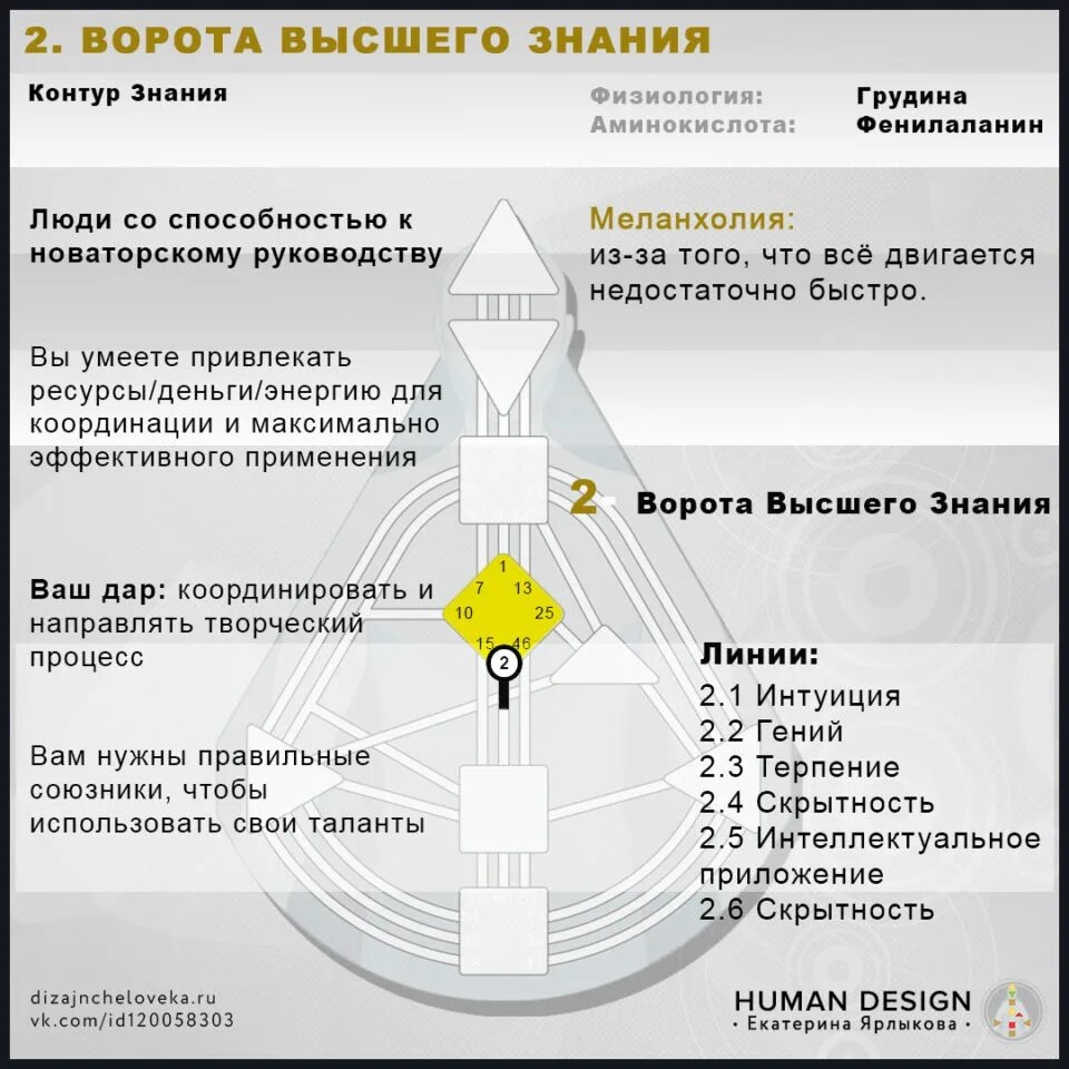 Канал 2 14 дизайн человека. Дизайне человека бодиграф ворота. ворота 2.2 дизайн человека. бодиграф расшифровка цифр. ворота бизнеса дизайн человека.
