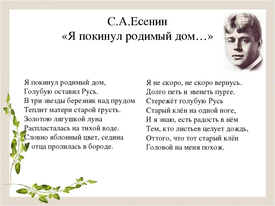 Не зная ваших строф но полюбив