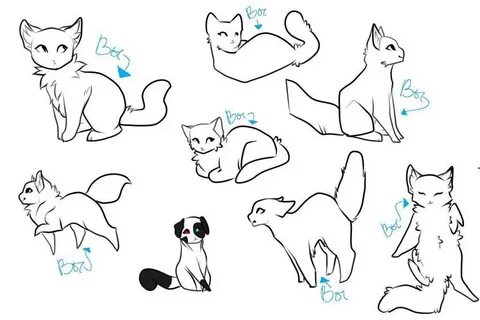 Рисовка кошки