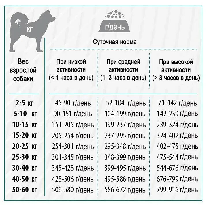 Как рассчитать корм для собаки. Норма корма для 5мес. Щенка. Сколько грамм сухого корма для щенка 3 месяца. Норма кормления 3 месячного щенка. Сколько грамм сухого корма давать щенку в 4 месяца.