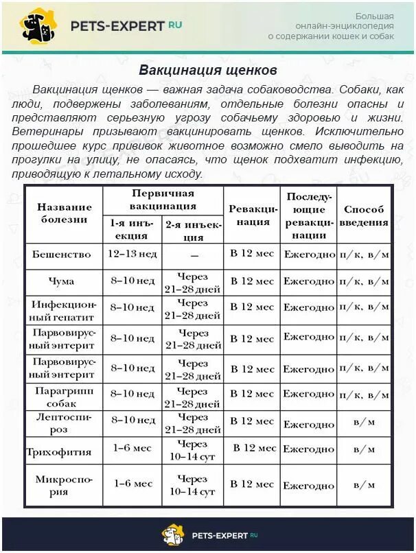 Таблица обязательных прививок для собак по возрасту. Прививки у собак график прививок по возрасту таблица. Схема прививок для щенков до года. Прививки собак по возрасту таблица график. Какого числа можно гулять