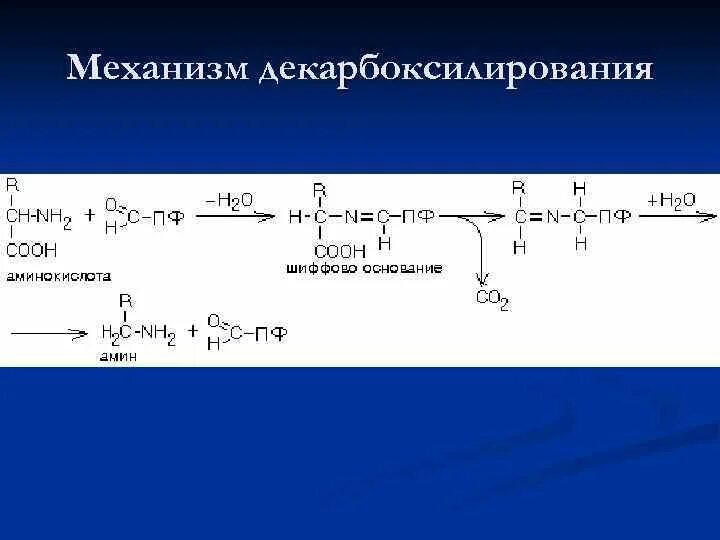 Декарбоксилирование аминокислот реакция. Механизм реакции декарбоксилирования. Окислительное декарбоксилирование аминокислот. Декарбоксилирование аминокислот механизм. Реакции окислительного декарбоксилирования аминокислот.