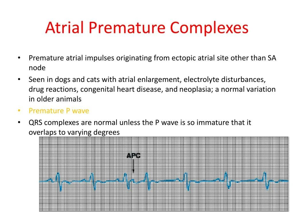 Premature end of file. Недоношенный новорожденный. Error: syntaxerror: json parse error: unexpected eof (-2700). Premature end of file. Невозможно выполнить.