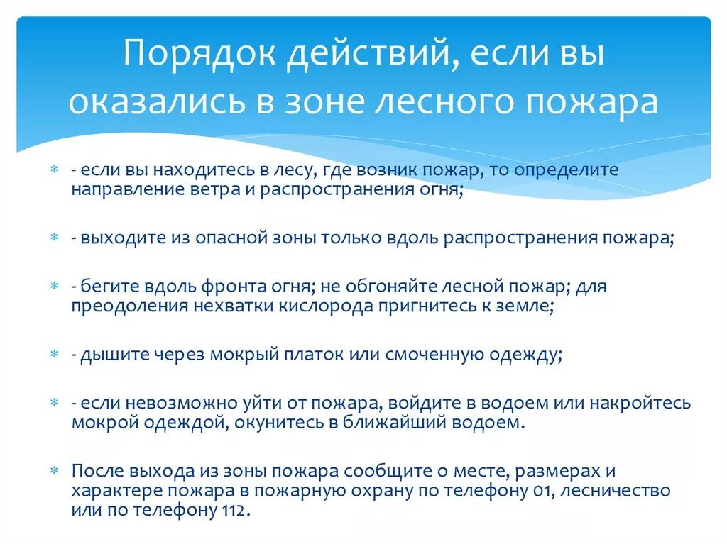 НМДИ вы оказадись в зоне лесного пожара. Что делать в зоне лесного пожара. Действия если вы оказались в зоне лесного пожара. Действия человека оказавшегося в зоне лесного пожара.