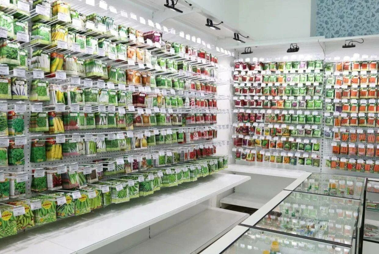 выкладка семян. магазин семян. магазин семена сад. выкладка семян в магазине. магазин семян в москве.