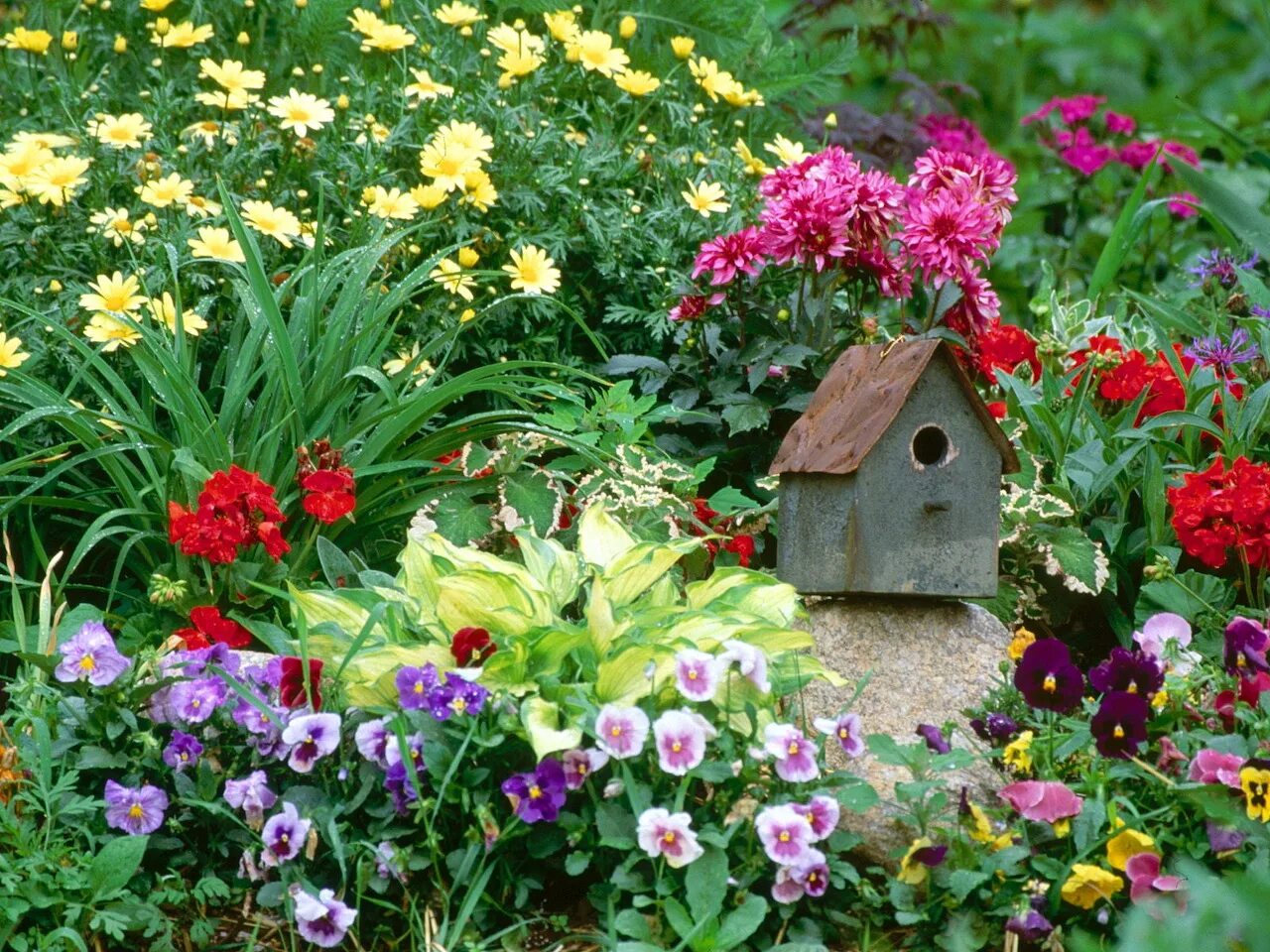 Garden flowers перевод. Анютины глазки, цинии, георгины на клумбе. Анютины глазки и петунии на клумбе. Клумба Гарден. Клумбы на даче.