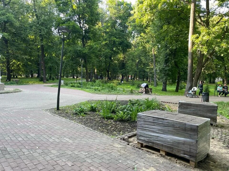 Подрядчик из Кирова спроектирует игровой комплекс в парке Кулибина
