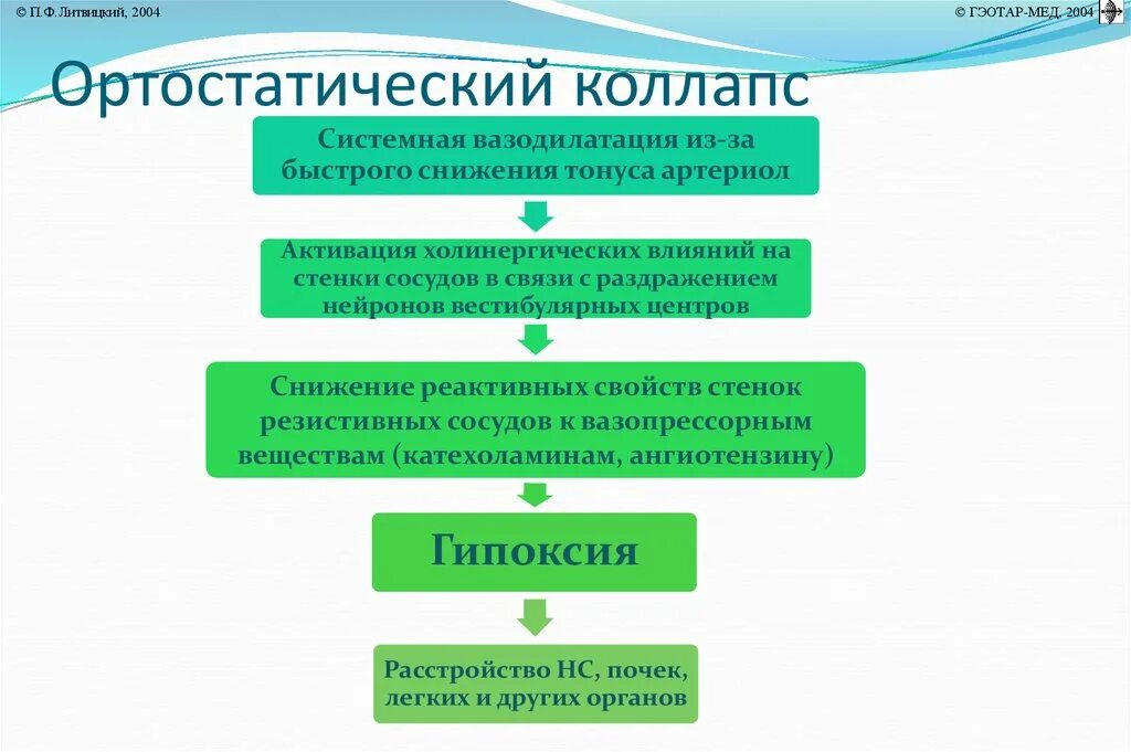 Ортостатический коллапс. Коллапс патогенез. Патогенез возникновения коллапса. Механизм развития коллапса.