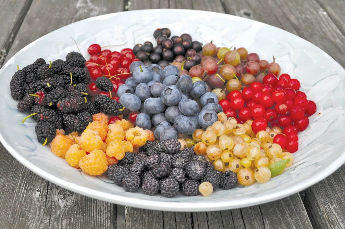 красная маленькая ягода кислая. ягода кис кис. ягода кис кис. вишня сушеная. Cranberries ягода.