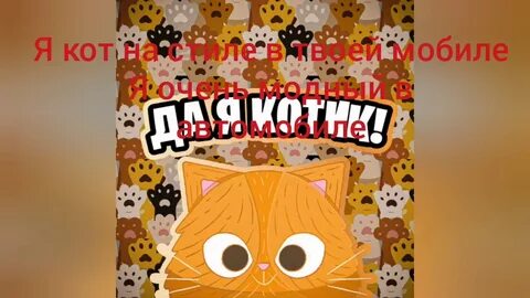 Да я кота