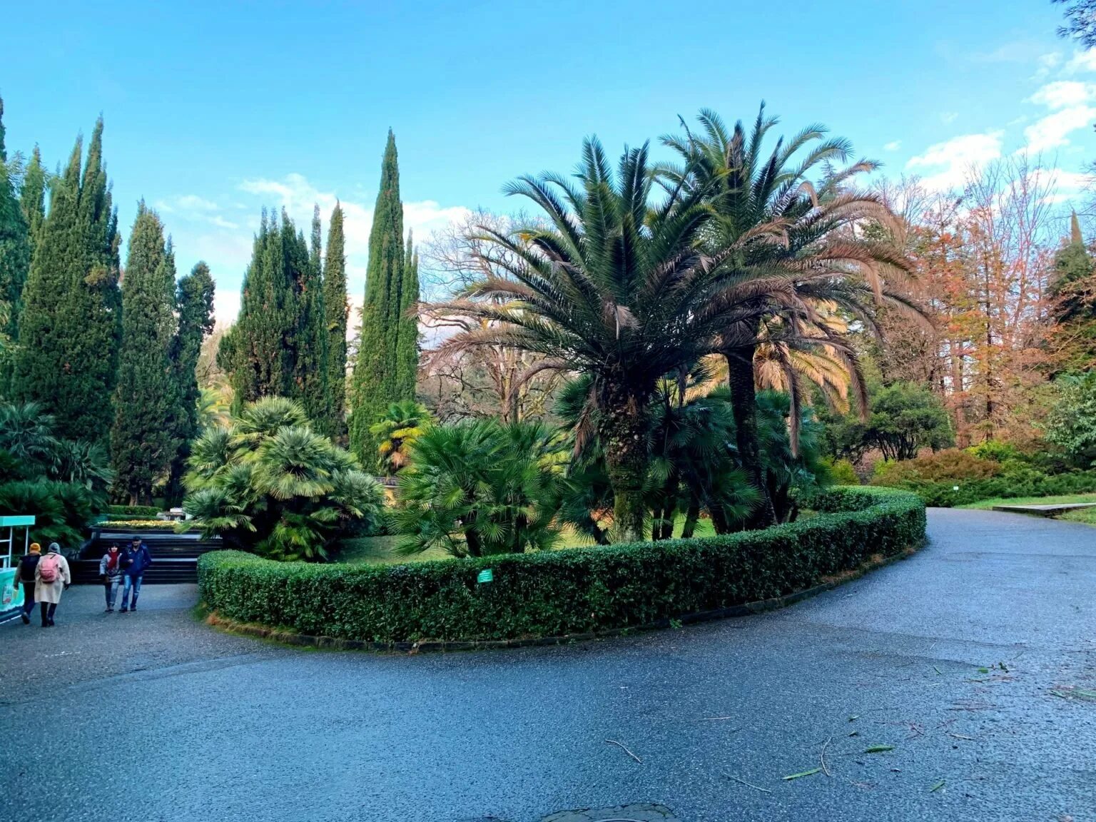 Сочи дендрарий 2021 картинки. Дендрарий сочи как добраться. Со́чи парк дендрарий мавританская беседка. Дендрарий сочи как добраться. Обзорная поляна дендрарий сочи.