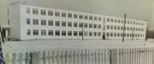 Чаквинская средняя школа. Саракпская средняя школа. Петрикова школа 909. Сейчас школа петрика. Гимназия пушкова фото 1 сентября.