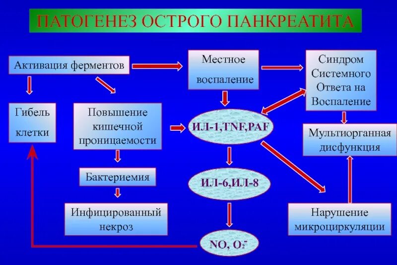 Активация ферментов поджелудочной железы. Патогенез острого панкреатита местный. Острый панкреатит этиология. Этиопатогенез острого панкреатита. Патогенез острого панкреатита схема.