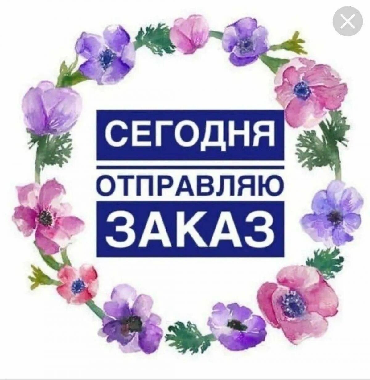 Новый заказ интернет магазин. Сегодня отпавдяю щмказы. Сегодня Отправка заказа. Сегодня отправляю заказ. Заказ отправлен.