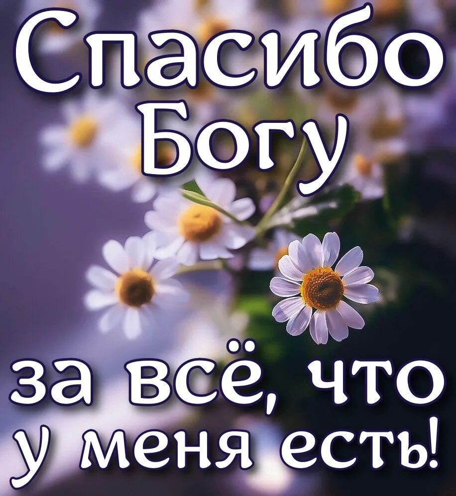 Картинка спасибо господу