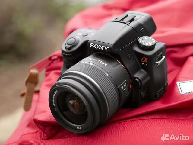 slice Go to the circuit Eight camara sony a37 jury Monotonous main