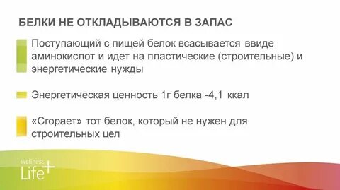 Запас белков