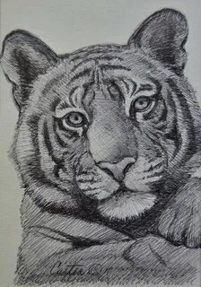 Рисунки н
