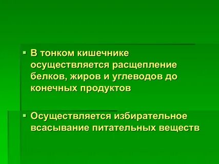 Расщепление питательных веществ завершается в