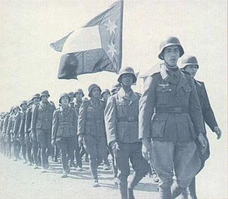 Арабский Легион вермахта. Французский Легион 1941. Хорватский Легион вермахта. Хорватский Легион СС на Восточном фронте. Французский сс
