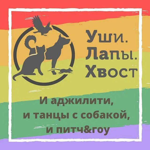 уши. выставка уши лапы хвост в самаре 2021. уши лапы хвост нижняя тура. уши лапы хвост нижняя тура. ушки, лапки и хвосты.