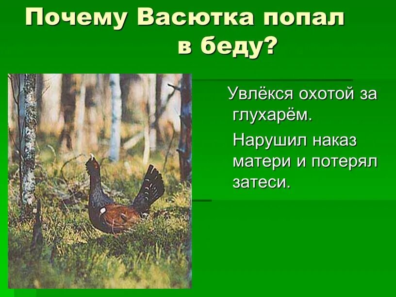 Почему удивился васютка увидев в озере. Васютка. Васютка рисунок. Васюткино озеро план охота на глухаря.