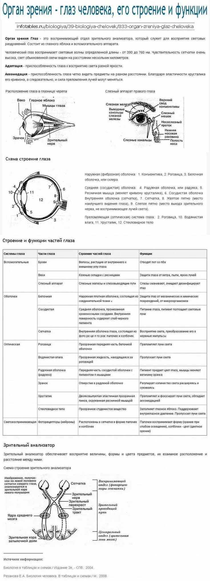 Заполните таблицу строение органа зрения. Элементы органа зрения строение функции таблица. Биология 8 класс орган зрения и зрительный анализатор таблица. Строение и функции аккомодационного аппарата глаза таблица. Световоспринимающая глаза строение и функции таблица.