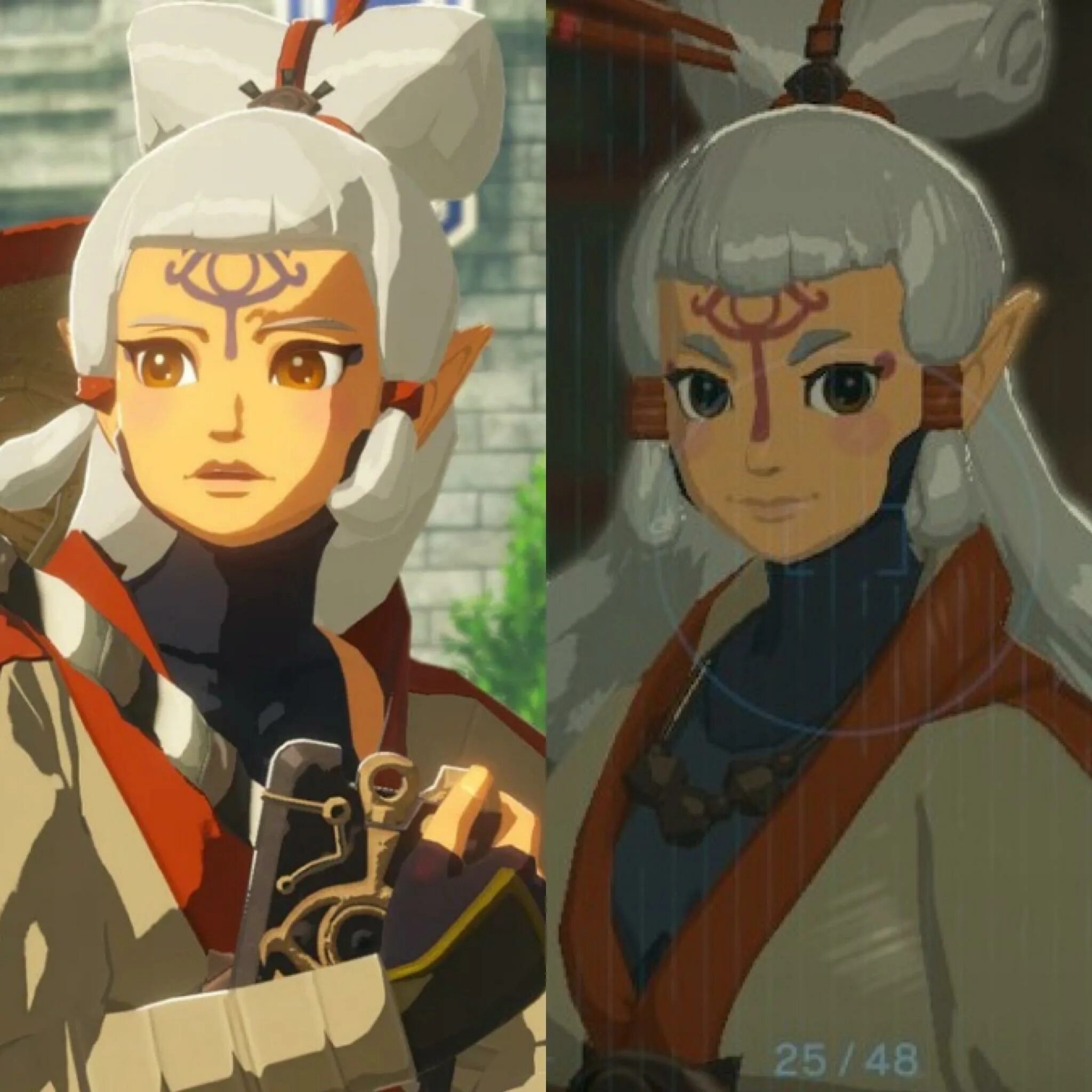 Paya zelda