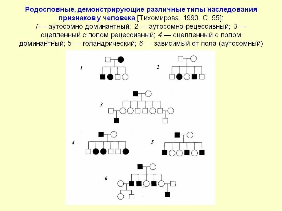 Они передавали по наследству