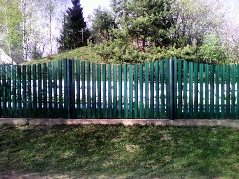 штакетник металлический для палисадника. пластиковый штакетник для забора. палисад из железного штакетника. ограждение палисадника из металлического штакетника. забор для палисадника из металлического штакетника.