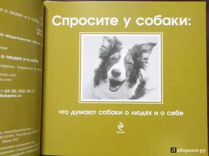 Думай как собака