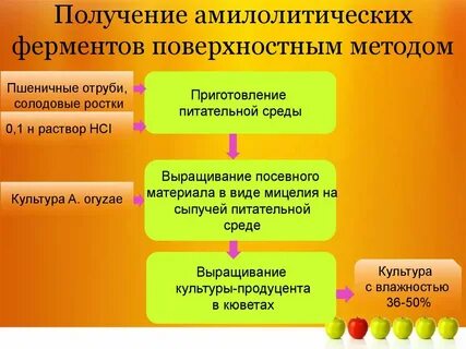 Поверхностная культура