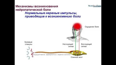 Нейропатическая боль у взрослых в ноге