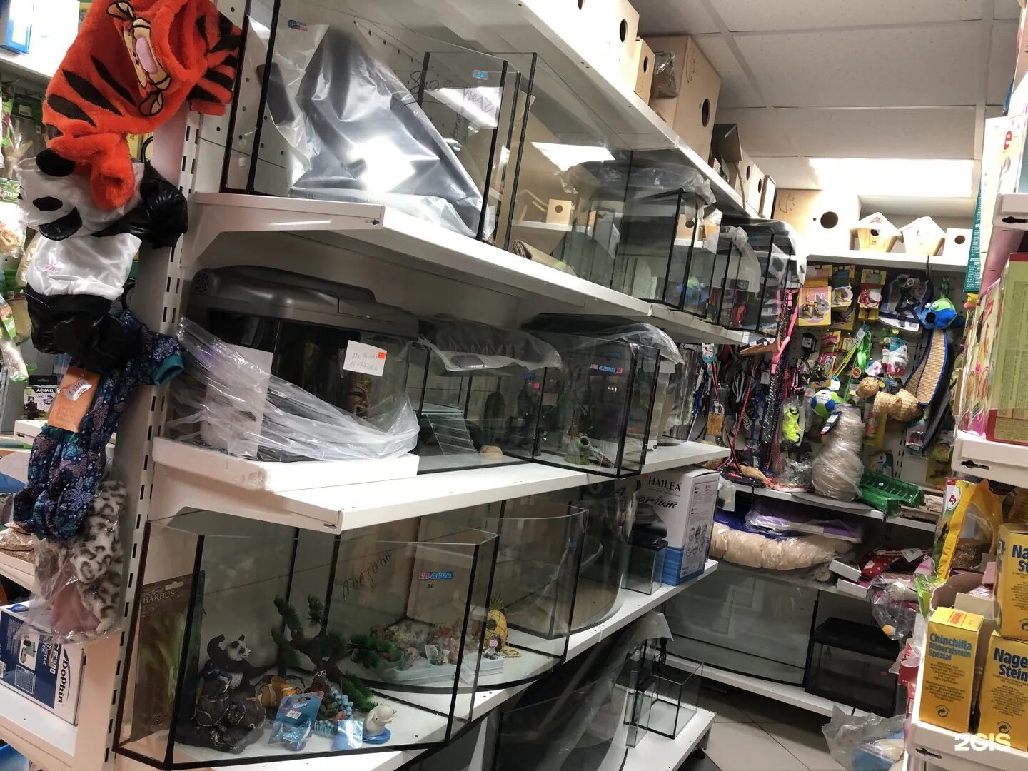 Аквариум ювель, 450 литров рио. Воронеж аквариум. Г во́ронеж магазин арована. Товары для аквариума. Аквариум трапеция.