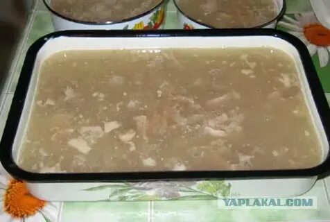 При какой температуре застывает холодец