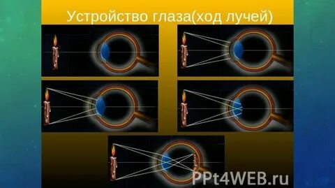 Глаз физика 9 класс